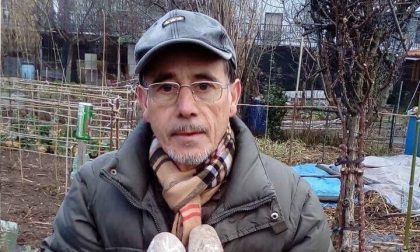 Sassi con simboli celtici nel suo orto