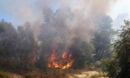 38 mezzi per l’antincendio boschivo a comunità montane ed enti