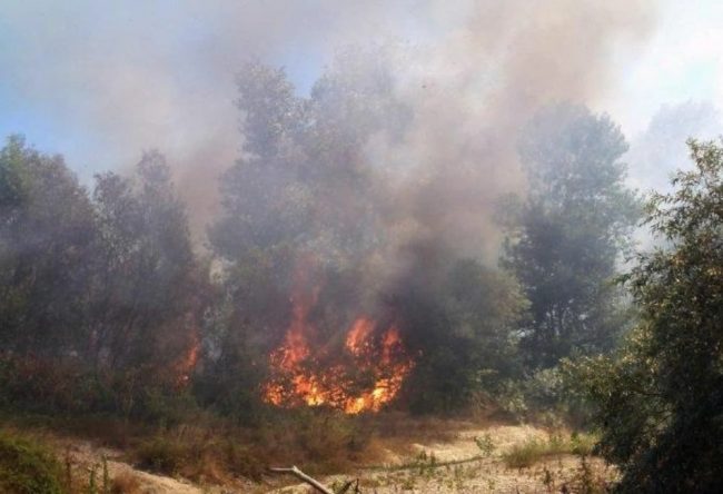 38 mezzi per l’antincendio boschivo a comunità montane ed enti