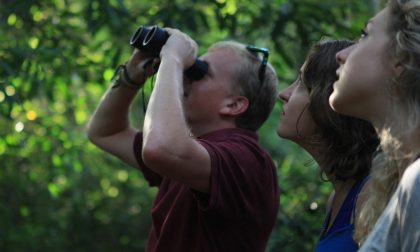 Birdwatching nel Parco del Ticino con il Codibugnolo