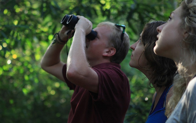Birdwatching nel Parco del Ticino con il Codibugnolo