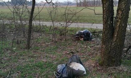 Cane e polli morti rinchiusi in sacchi della spazzatura