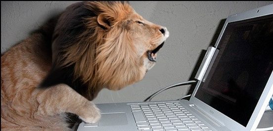 “Vigili usurai” su Facebook, leoni da tastiera saranno denunciati