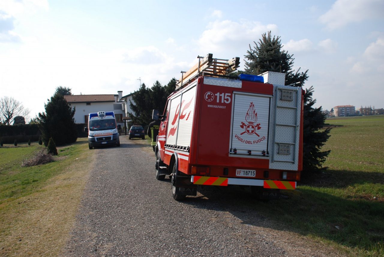 Muore mentre taglia gli alberi