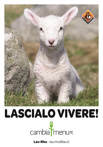 Lav “una Pasqua senza crudeltà”