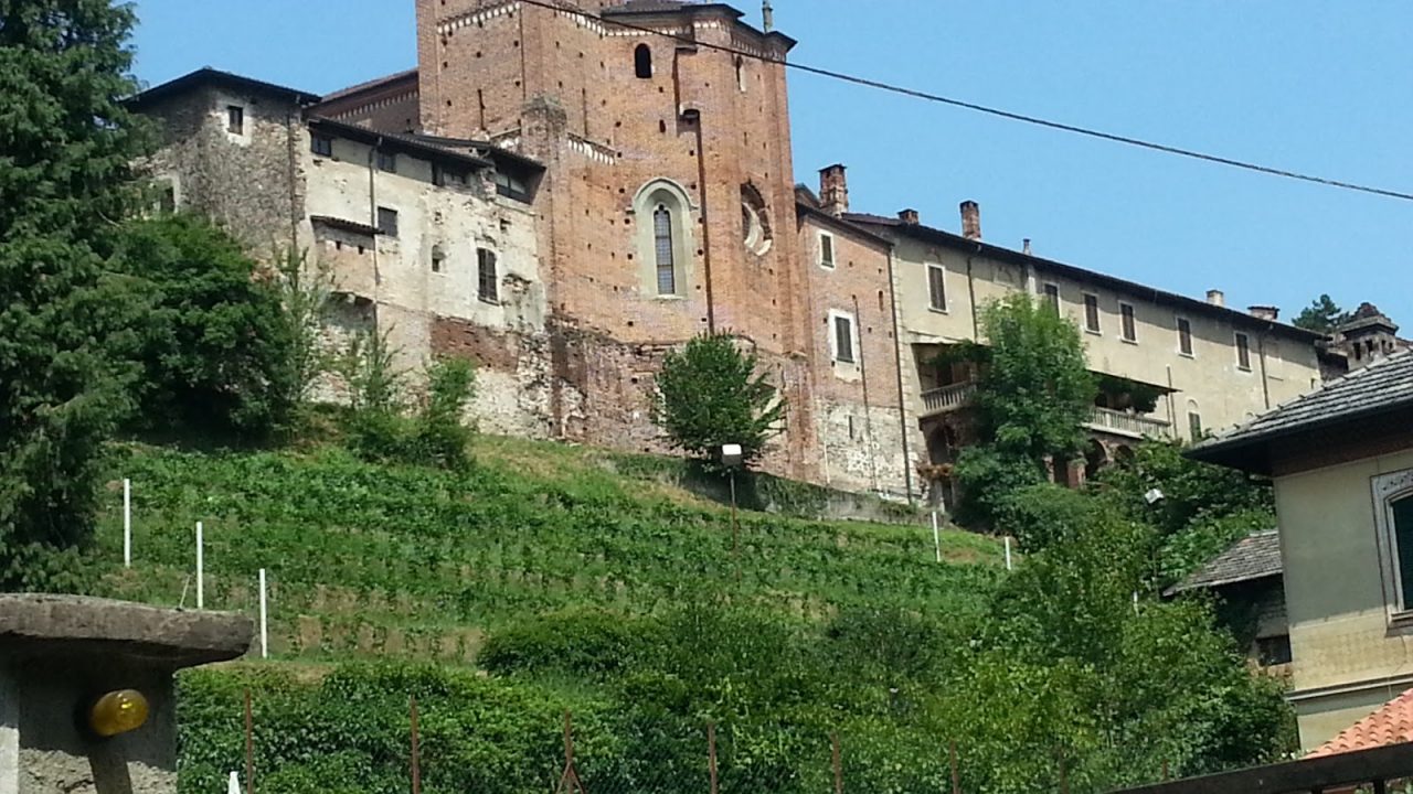 Merlot Collegiata ecco come prenotare il vino e fare beneficenza