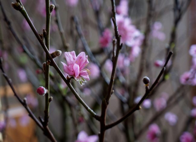 Giornata mondiale della poesia, le raccolte imperdibili