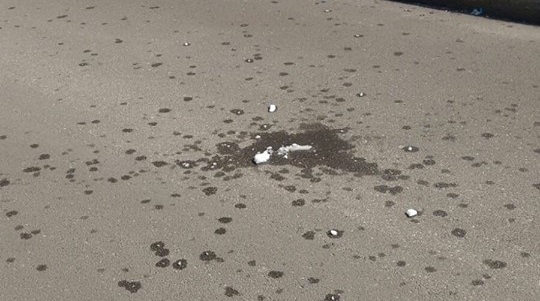 Blocco di ghiaccio cade dal cielo, sfiorati marito e moglie