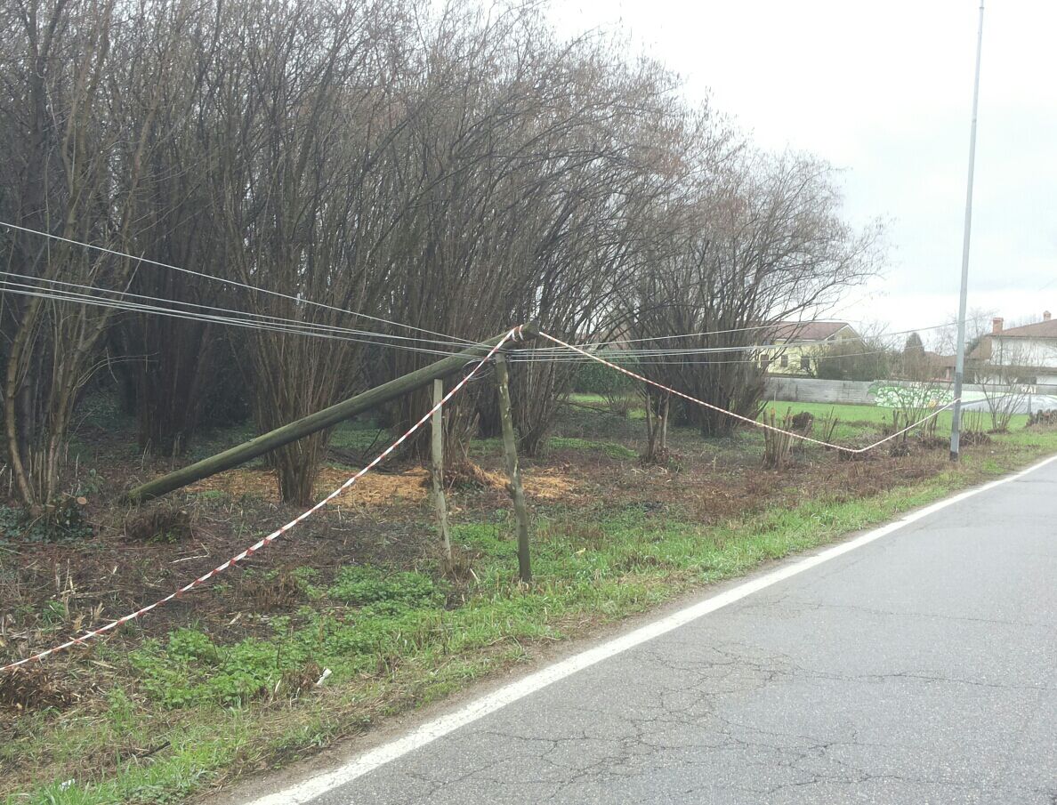 Forti piogge: cade un palo del telefono