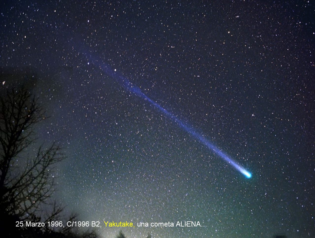 Alla scoperta di comete e di altre stelle