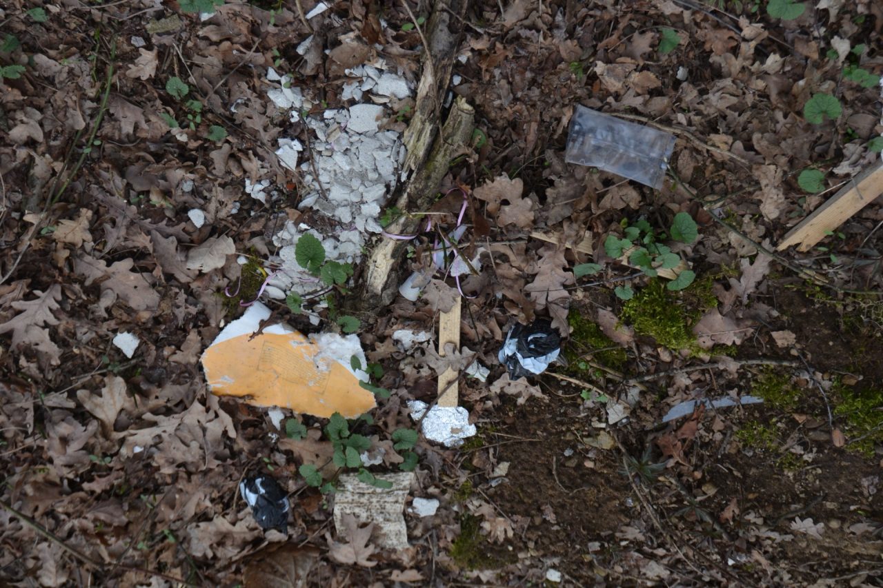 Bosco del Rugareto: si cercano volontari per la pulizia
