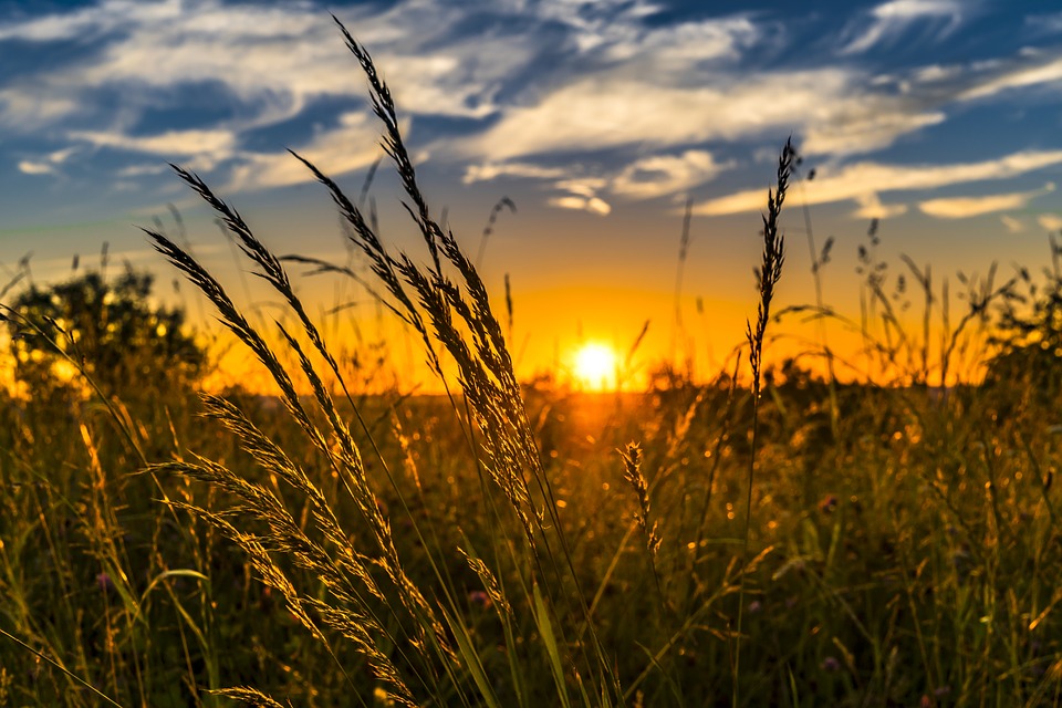 Aree agricole trasformate in parchi naturali? “Un rischio per gli agricoltori”