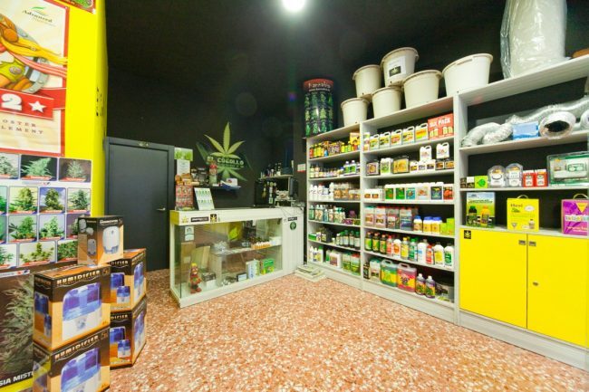 Cannabis al supermercato la scelta di Lidl in Svizzera