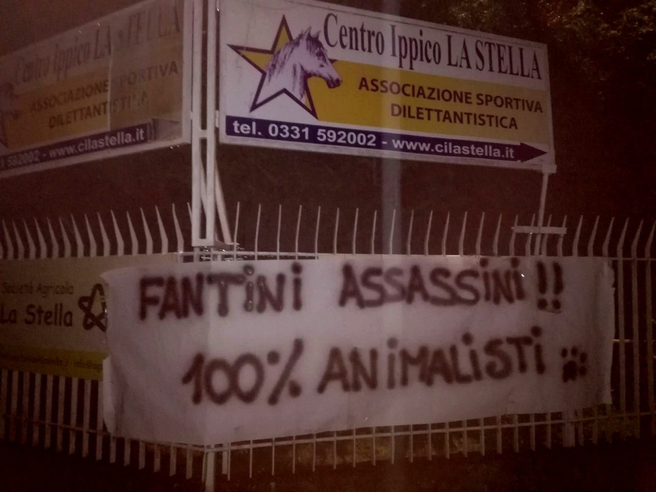 Palio di Legnano blitz degli animalisti al centro ippico dov’è morto il cavallo