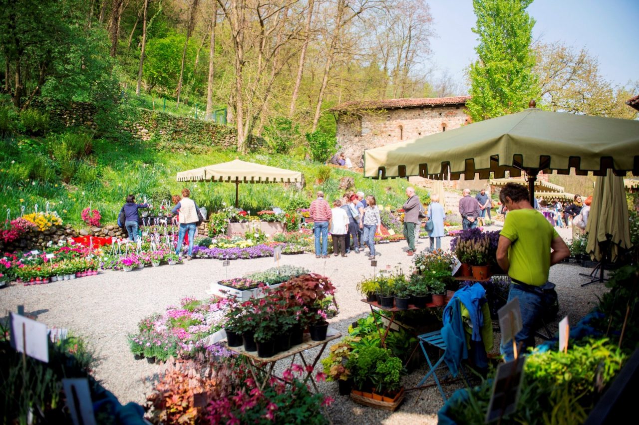 Fiori al monastero di Torba appuntamento domenica