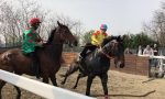 Palio di Legnano "primo per sicurezza e attenzione alla salute dei cavalli"