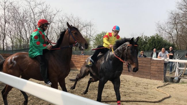 Cavallo morto: annullate le corse di addestramento del 22 aprile