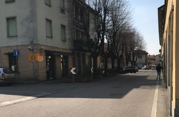 San Vittore Olona: “No al taglio degli alberi in via Matteotti”