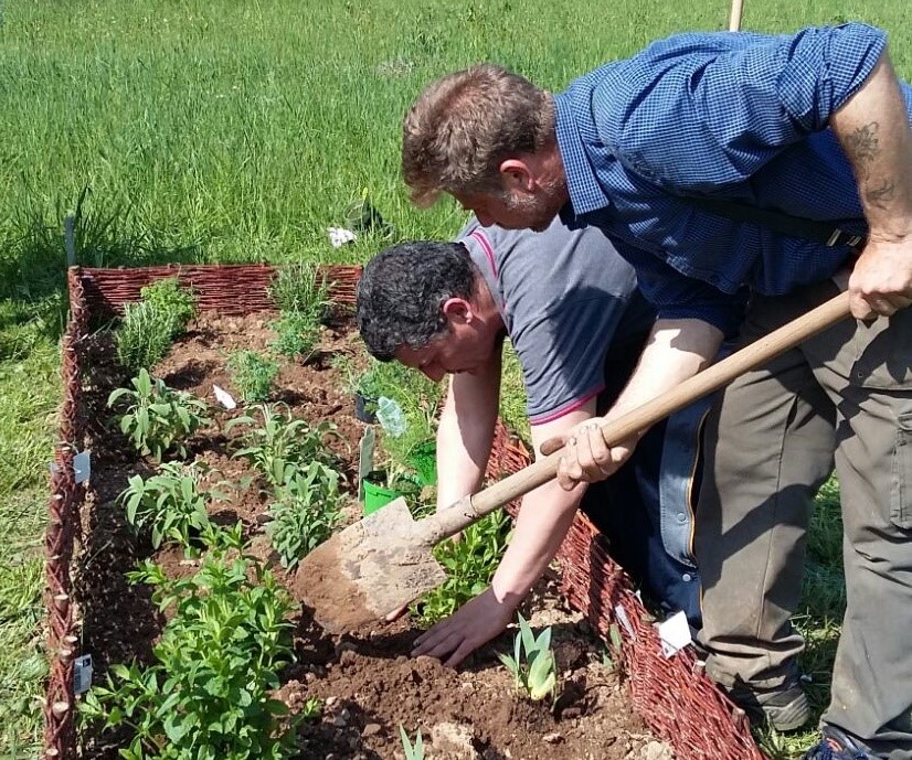 Orto dei Cistercensi, il progetto prende forma a Parabiago