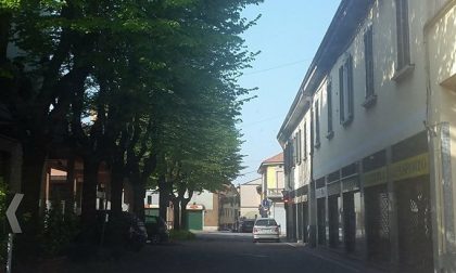 S.Vittore Olona: "No al taglio degli alberi in via Matteotti, sì ad altre soluzioni"