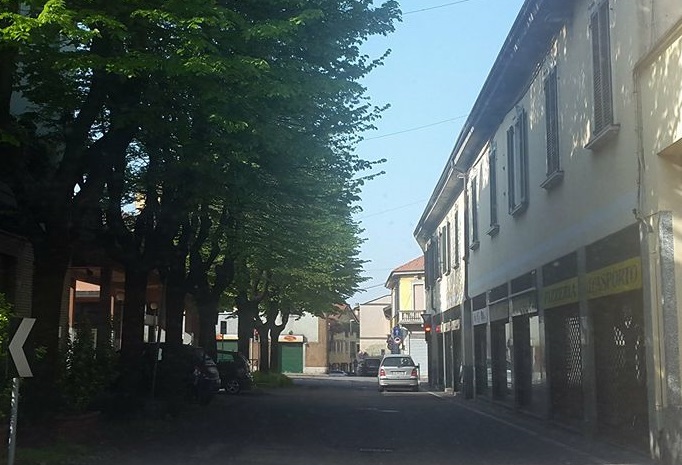 S.Vittore Olona: “No al taglio degli alberi in via Matteotti, sì ad altre soluzioni”
