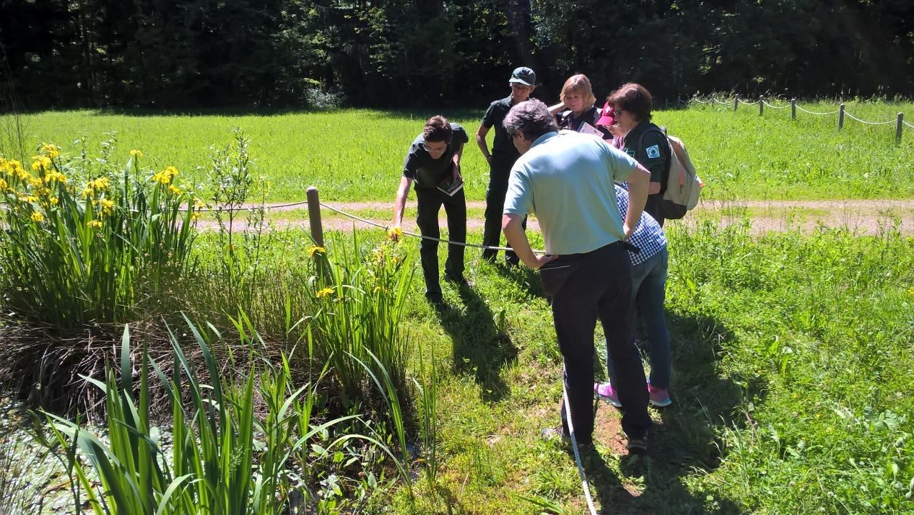 Il Parco Pineta rinnova le cariche e torna al lavoro: porte aperte alle associazioni