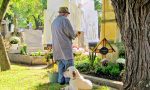 Cani al cimitero a Settimo? Bocciata la proposta di Delvecchio