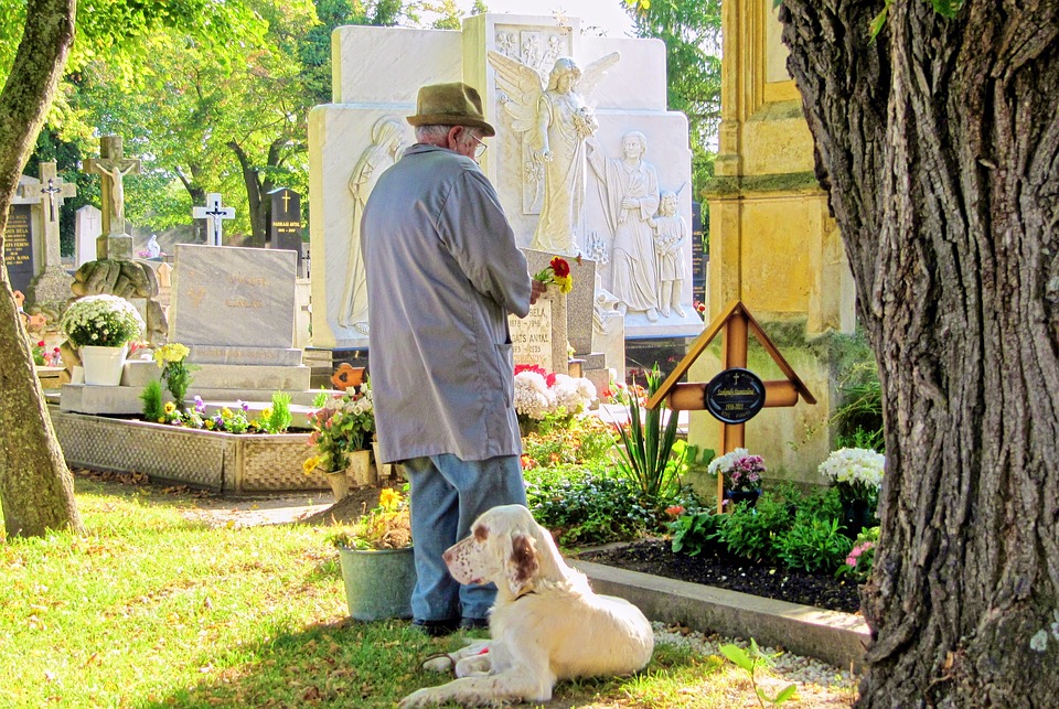 Cani al cimitero a Settimo? Bocciata la proposta di Delvecchio