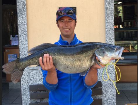 Pescato un luccio perca da 8,5 kg a Vassena