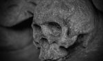 Trovate ossa umane in un'area ecologica di Saronno
