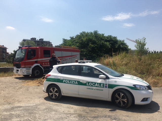 Dà fuoco alle sterpaglie e scappa
