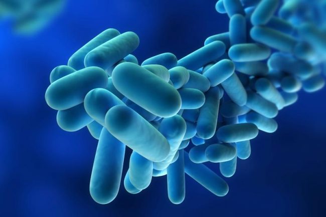 Legionella in Lombardia, c’è un secondo morto
