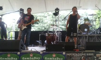 Dopo di noi: due giorni in musica a Magenta - IL VIDEO