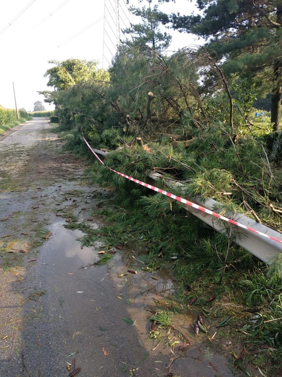 Cade un fulmine, due auto a fuoco