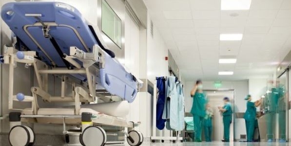 15enne aggredita da un pitbull finisce in ospedale