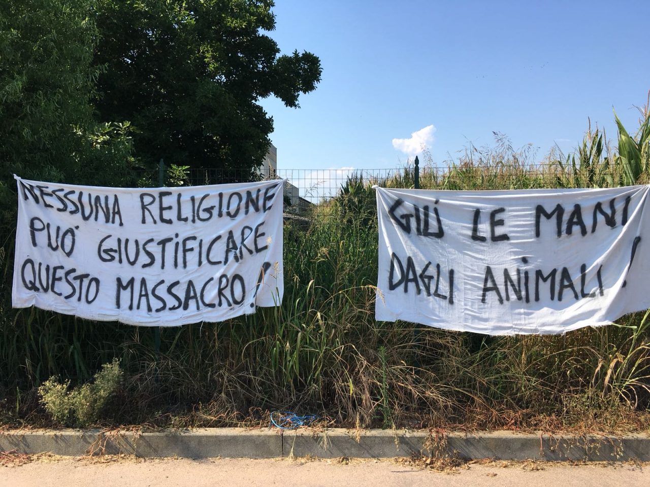 Animali uccisi per la festa: la protesta a Robecco