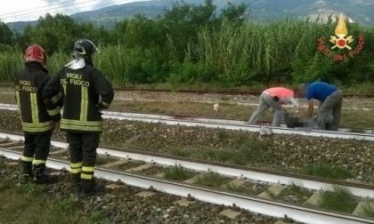 Di Albairate i bimbi uccisi dal treno in Calabria mentre attraversavano i binari per andare al mare FOTO
