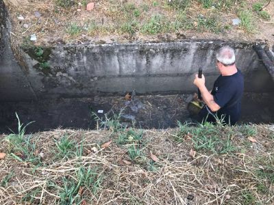 Ex vice sindaco di Pregnana salva un cane che stava annegando