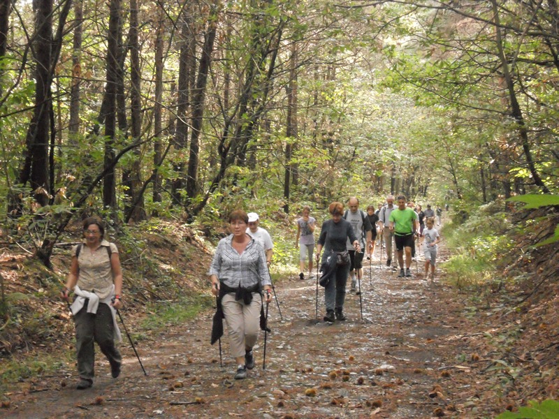Quattar Pass in Pineta, si torna a correre nel bosco