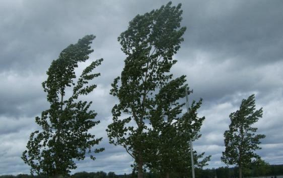 Il vento di Foehn avvolge la Lombardia: da domani temperature in picchiata