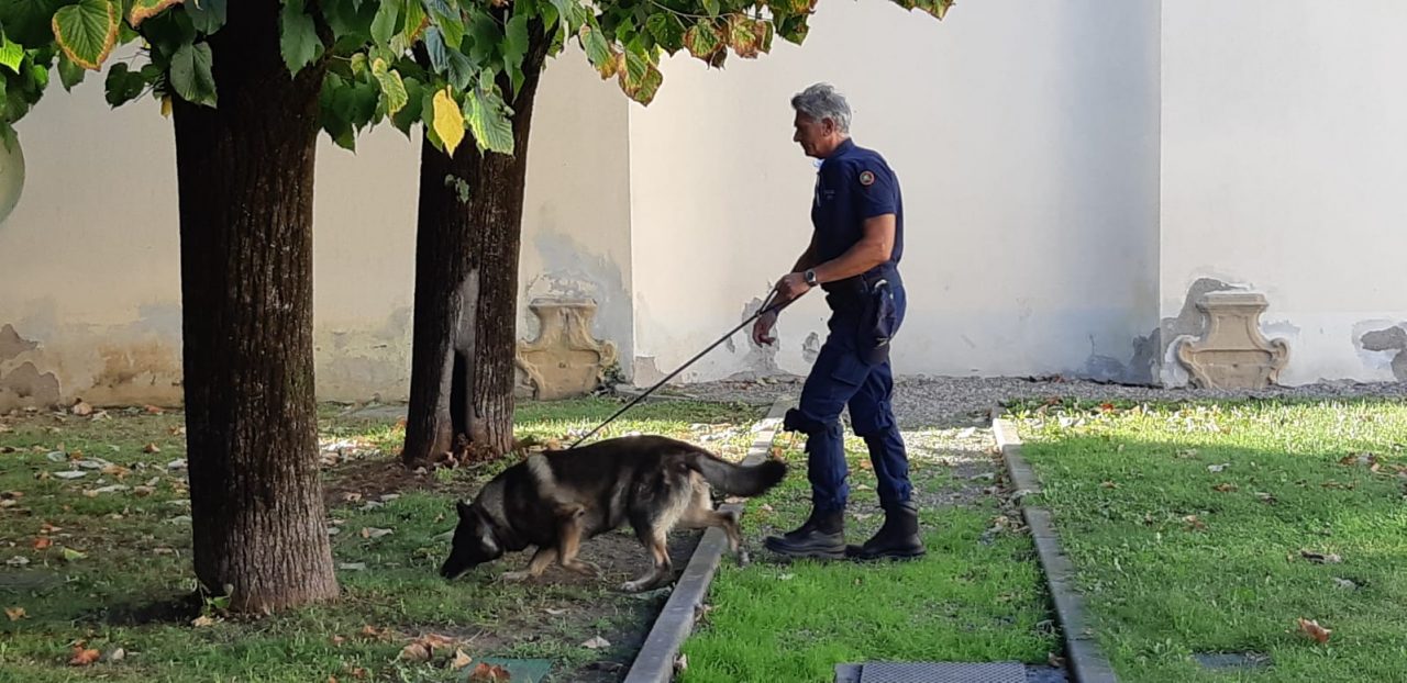 polizia locale