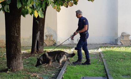 Polizia locale: operazione antidroga a Cerro FOTO e VIDEO