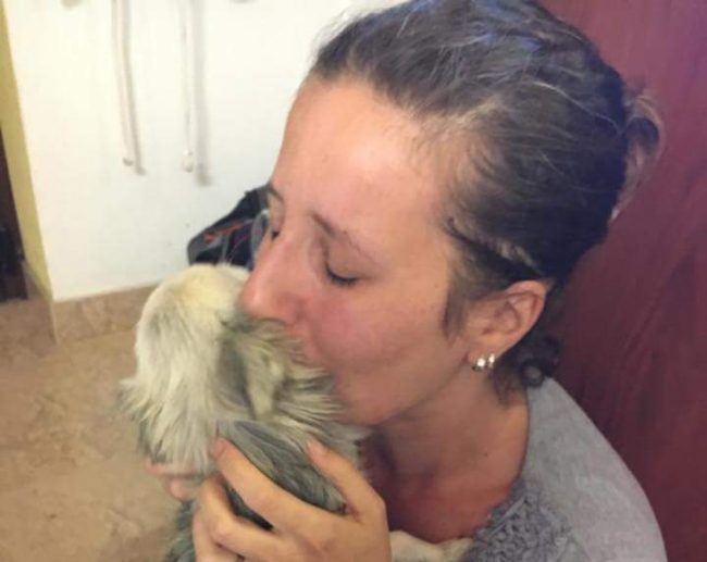 Il chihuahua Cherry torna a casa dopo quasi due anni