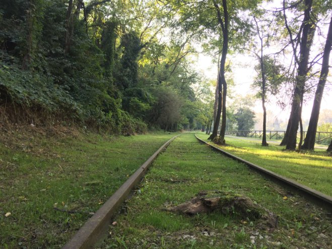 Riportare il treno in valle Olona: si può