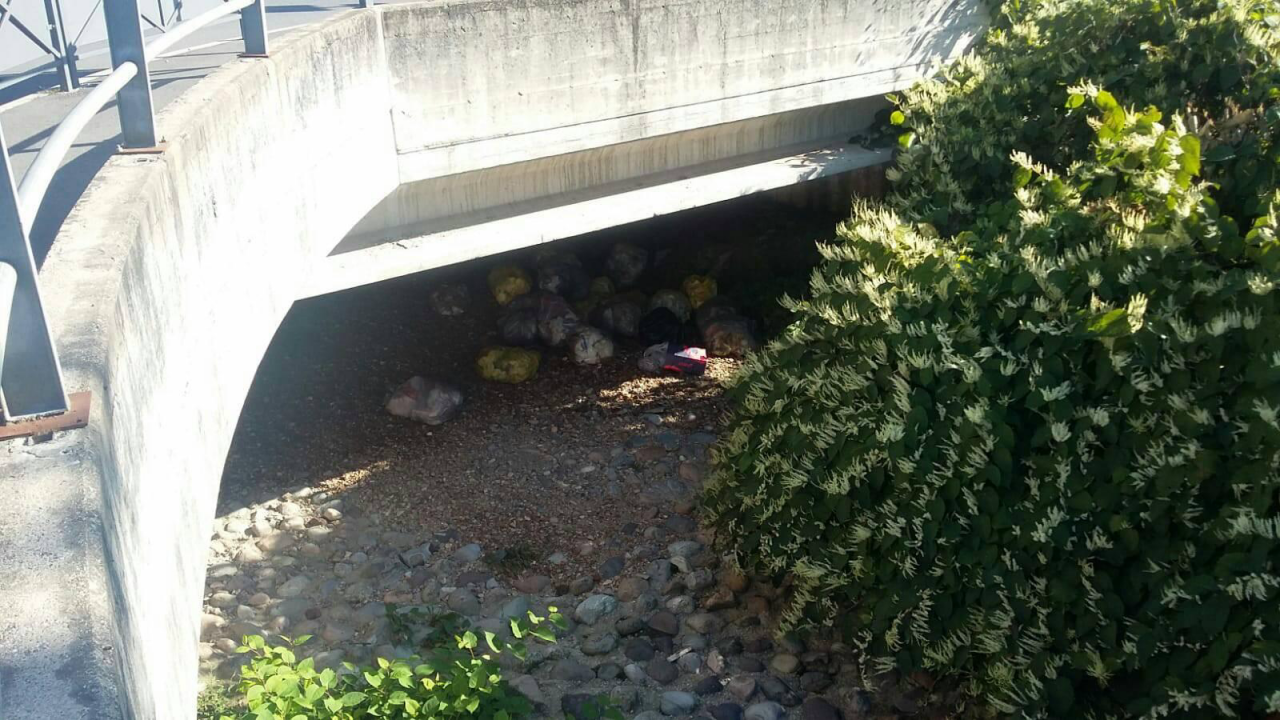 Discarica abusiva nel fontanile: caccia al colpevole