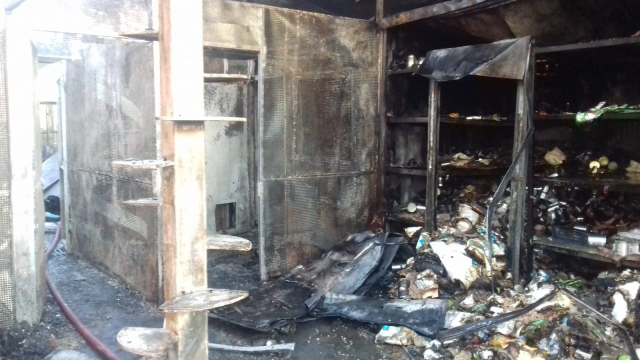 Incendio al gattile di Rho: ecco come mandare aiuti VIDEO