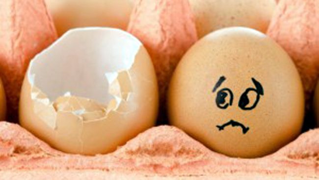 Rischio salmonella: ritirato lotto di uova fresche prodotte in Umbria