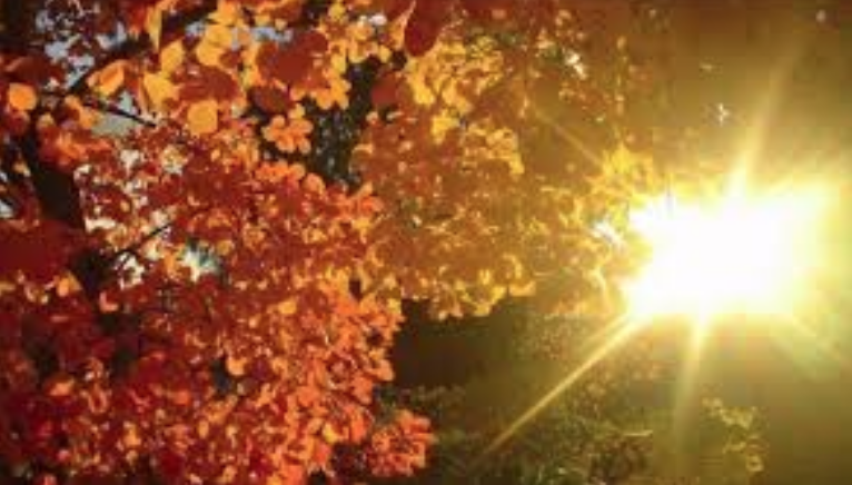 Meteo weekend: ci attendono sole e temperature miti