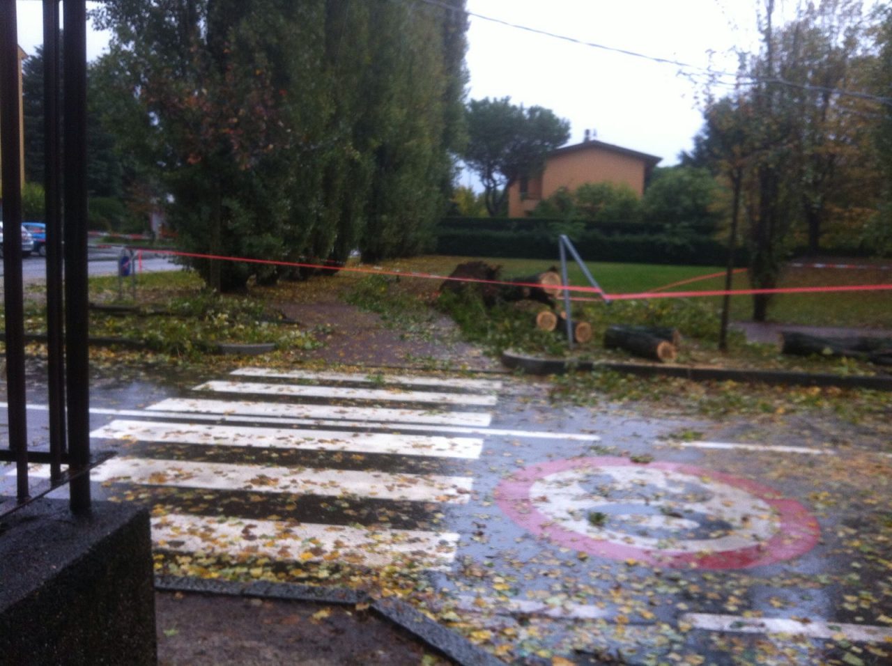 albero caduto saronno