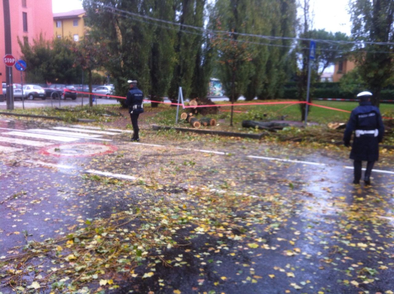 albero caduto saronno